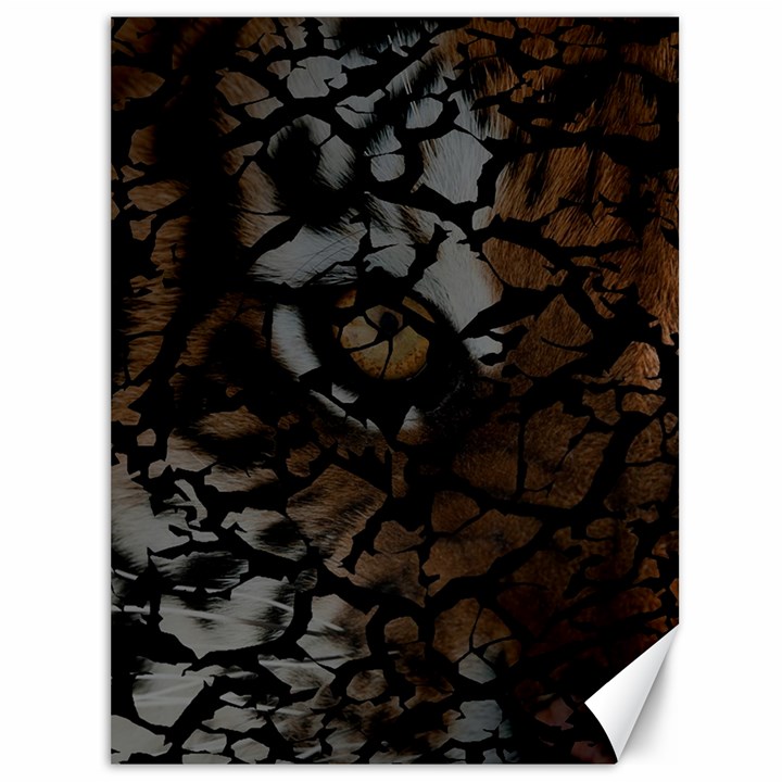 Earth Texture Tiger Shades Canvas 36  x 48  