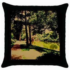 Hot Day In Dallas 25 Throw Pillow Case (black) by bestdesignintheworld