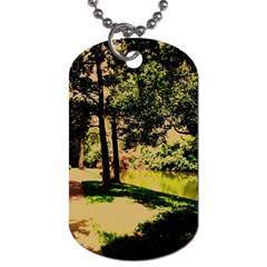 Hot Day In Dallas 25 Dog Tag (two Sides) by bestdesignintheworld