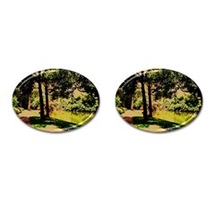 Hot Day In Dallas 25 Cufflinks (oval) by bestdesignintheworld