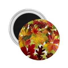 Autumn Fall Leaves 2 25  Magnets by LoolyElzayat