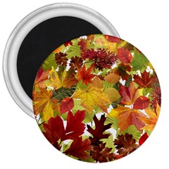 Autumn Fall Leaves 3  Magnets by LoolyElzayat