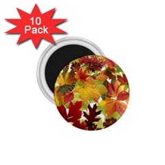 Autumn Fall Leaves 1 75  Magnets (10 Pack)  by LoolyElzayat