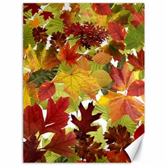 Autumn Fall Leaves Canvas 36  X 48   by LoolyElzayat