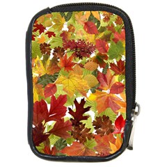 Autumn Fall Leaves Compact Camera Cases by LoolyElzayat