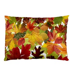 Autumn Fall Leaves Pillow Case (two Sides) by LoolyElzayat