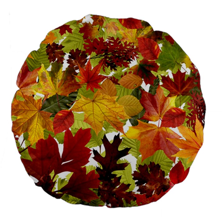 Autumn Fall Leaves Large 18  Premium Flano Round Cushions