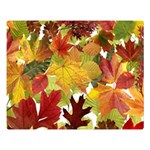 Autumn Fall Leaves Double Sided Flano Blanket (Large)  80 x60  Blanket Front