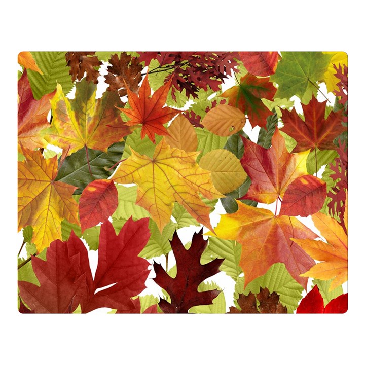 Autumn Fall Leaves Double Sided Flano Blanket (Large) 