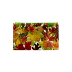 Autumn Fall Leaves Cosmetic Bag (xs)