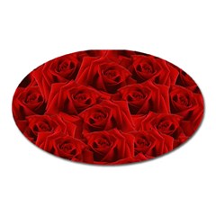 Romantic Red Rose Oval Magnet by LoolyElzayat