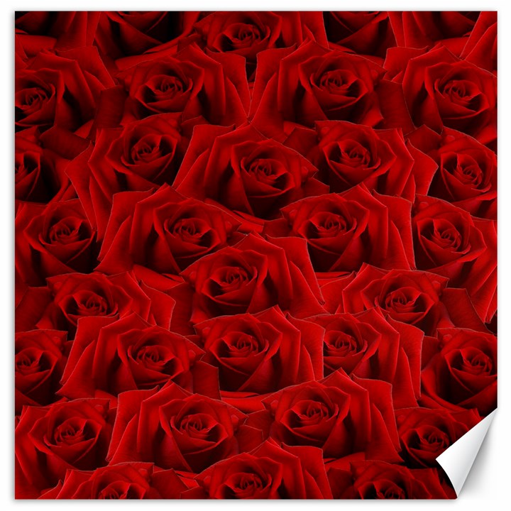 Romantic Red Rose Canvas 16  x 16  