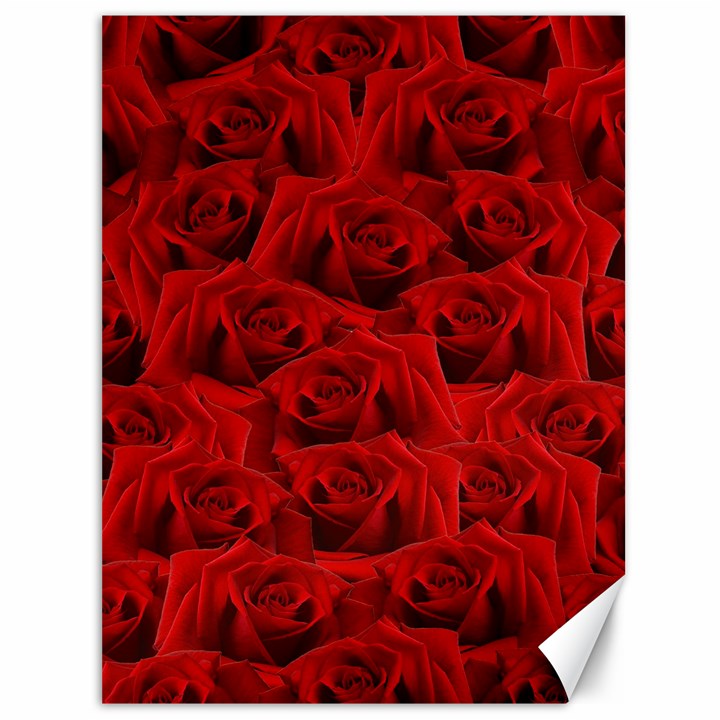 Romantic Red Rose Canvas 36  x 48  