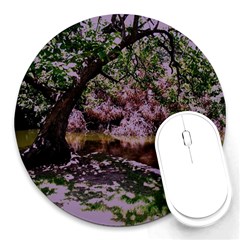 Hot Day In Dallas 31 Round Mousepads by bestdesignintheworld