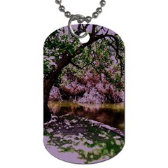 Hot Day In Dallas 31 Dog Tag (two Sides) by bestdesignintheworld