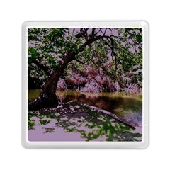 Hot Day In Dallas 31 Memory Card Reader (square)  by bestdesignintheworld