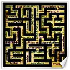 Mindset Stimulus Response Emotion Canvas 12  X 12   by Sapixe