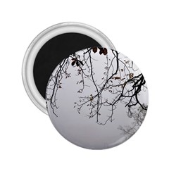 Tree Nature Landscape 2 25  Magnets by Sapixe