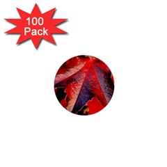 Wine Partner Wild Vine Leaves Plant 1  Mini Buttons (100 Pack)  by Sapixe