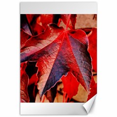 Wine Partner Wild Vine Leaves Plant Canvas 12  X 18   by Sapixe