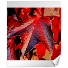 Wine Partner Wild Vine Leaves Plant Canvas 16  X 20   by Sapixe