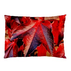 Wine Partner Wild Vine Leaves Plant Pillow Case by Sapixe