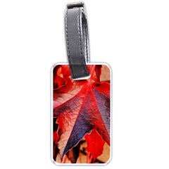 Wine Partner Wild Vine Leaves Plant Luggage Tags (one Side)  by Sapixe