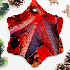 Wine Partner Wild Vine Leaves Plant Ornament (snowflake) by Sapixe