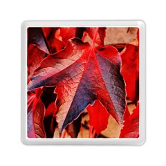 Wine Partner Wild Vine Leaves Plant Memory Card Reader (square)  by Sapixe