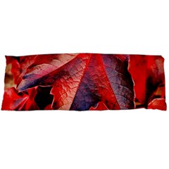 Wine Partner Wild Vine Leaves Plant Body Pillow Case (dakimakura) by Sapixe