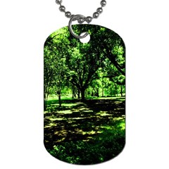 Hot Day In Dallas 26 Dog Tag (two Sides) by bestdesignintheworld