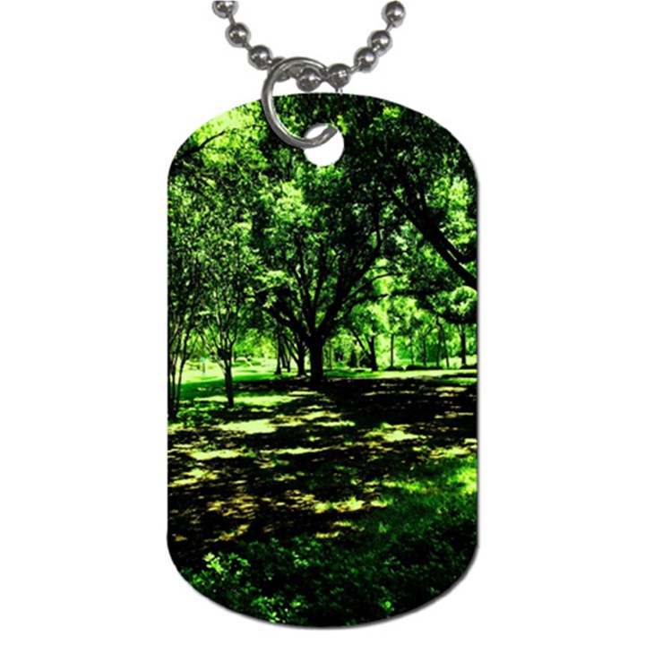 Hot Day In Dallas 26 Dog Tag (Two Sides)