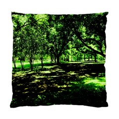 Hot Day In Dallas 26 Standard Cushion Case (two Sides) by bestdesignintheworld