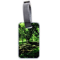 Hot Day In Dallas 26 Luggage Tags (two Sides) by bestdesignintheworld