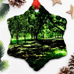 Hot Day In Dallas 26 Ornament (snowflake) by bestdesignintheworld