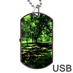 Hot Day In Dallas 26 Dog Tag Usb Flash (two Sides) by bestdesignintheworld