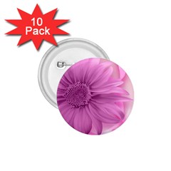 Flower Design Romantic 1 75  Buttons (10 Pack) by Sapixe