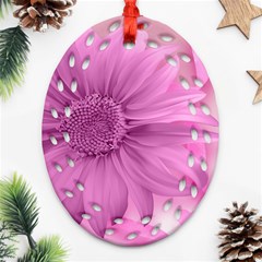 Flower Design Romantic Ornament (oval Filigree) by Sapixe