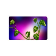 Leaves Green Leaves Background Magnet (name Card) by Sapixe