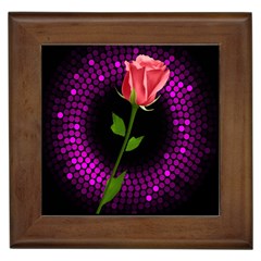 Rosa Black Background Flash Lights Framed Tiles by Sapixe