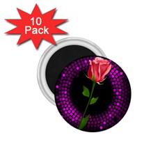 Rosa Black Background Flash Lights 1 75  Magnets (10 Pack)  by Sapixe