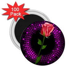 Rosa Black Background Flash Lights 2 25  Magnets (100 Pack)  by Sapixe