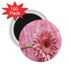 Background Texture Flower Petals 2 25  Magnets (100 Pack)  by Sapixe