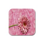 Background Texture Flower Petals Rubber Square Coaster (4 pack)  Front