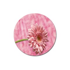 Background Texture Flower Petals Magnet 3  (round) by Sapixe