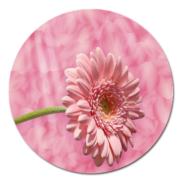 Background Texture Flower Petals Magnet 5  (Round)