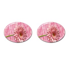 Background Texture Flower Petals Cufflinks (oval) by Sapixe