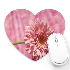 Background Texture Flower Petals Heart Mousepads by Sapixe