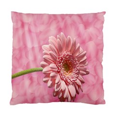 Background Texture Flower Petals Standard Cushion Case (one Side) by Sapixe