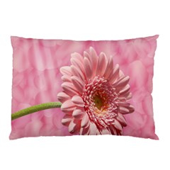 Background Texture Flower Petals Pillow Case by Sapixe